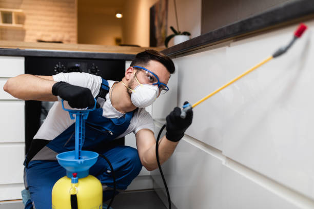 Best Best Pest Control Companies  in Clayton, OH