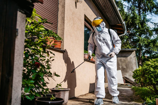 Pest Control for Restaurants in Clayton, OH