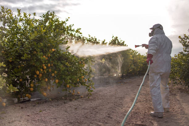 Best Emergency Pest Control  in Clayton, OH