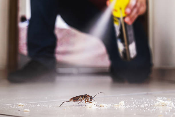 Best Affordable Pest Control Services  in Clayton, OH